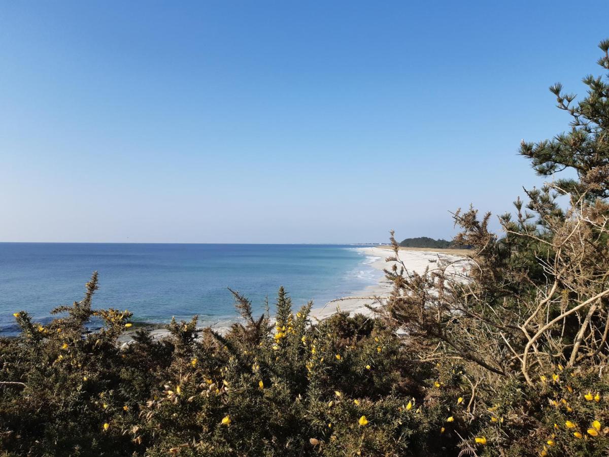 Agape, Elegant T2, 4 Etoiles, Plage Et Gr34 3Km, Centre Ville 750M Фуенан Екстериор снимка